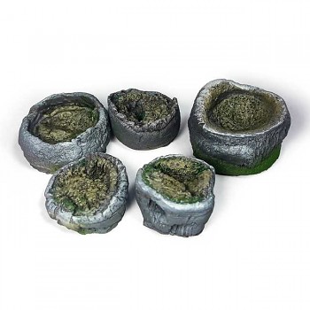 Palm Stumps