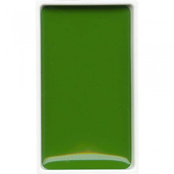 053 Sap Green