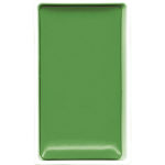 505 Ivy Green