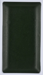 777 Cosmic Olive