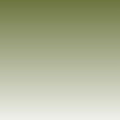 T6340 Olive Green