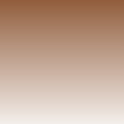T8310 Hazelnut