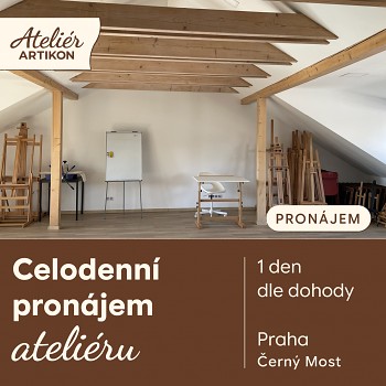 celodenní