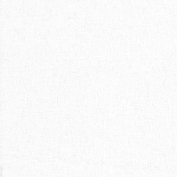 4011 White