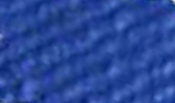 43 Cornflower
